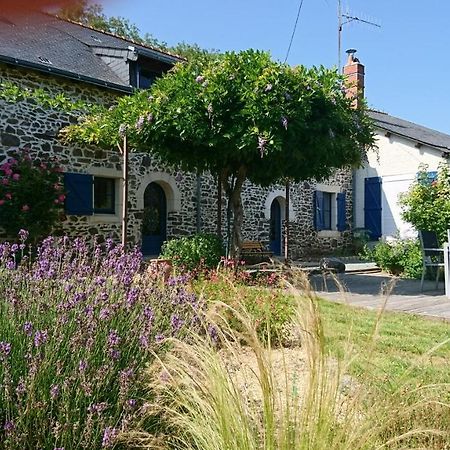 Murmures De Loire Montjean-sur-Loire エクステリア 写真