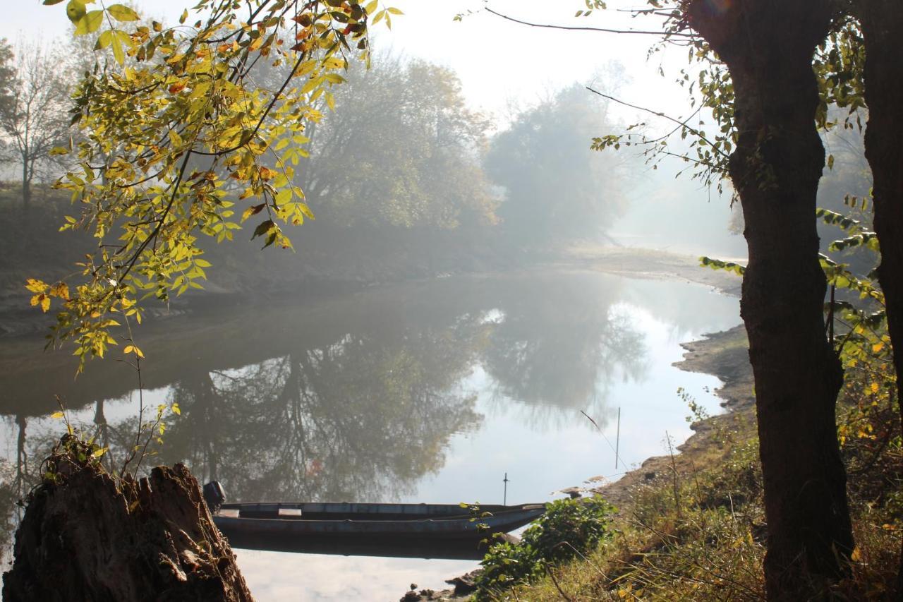 Murmures De Loire Montjean-sur-Loire エクステリア 写真